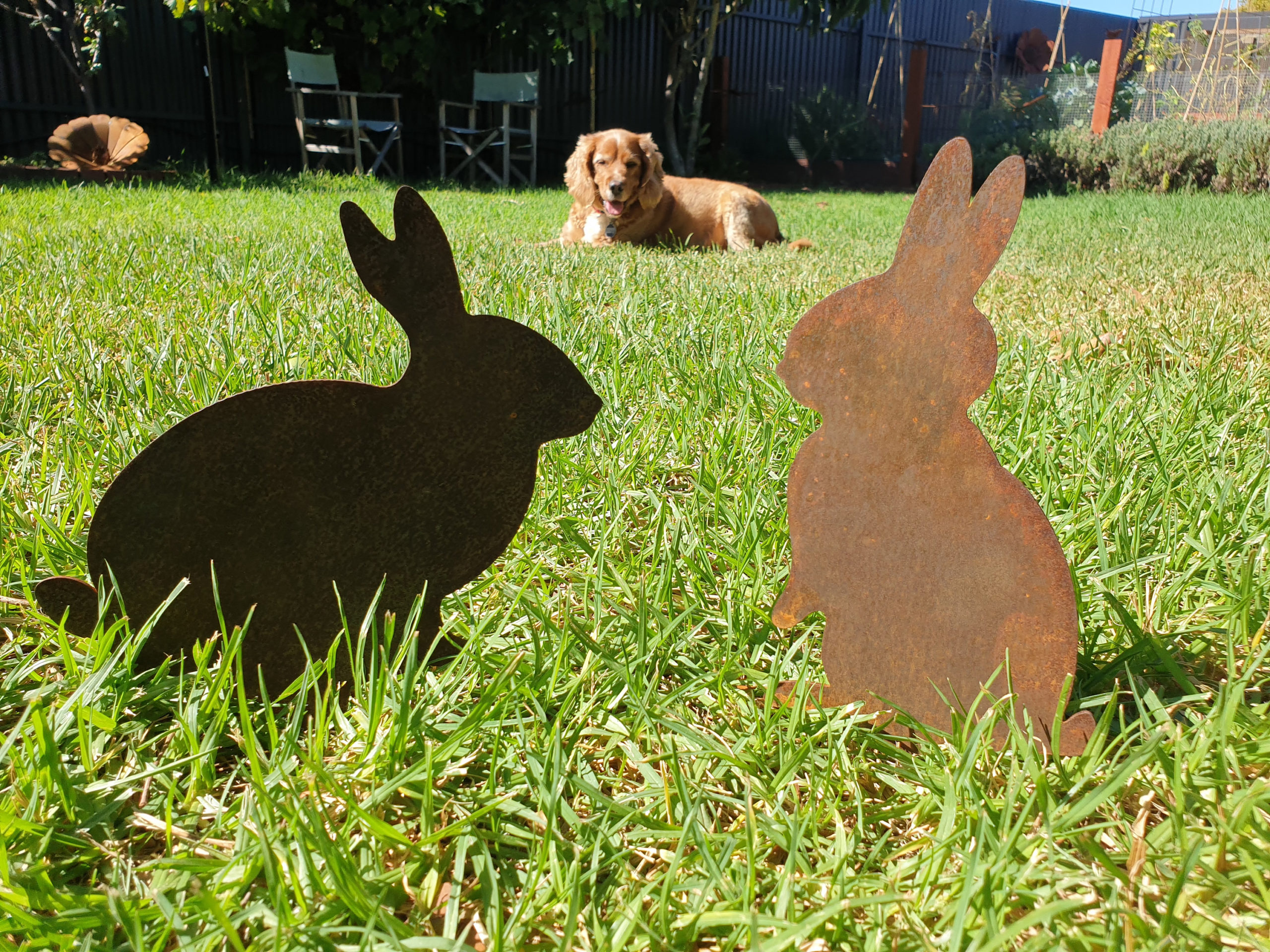 Bunny Rabbit - Australian Made Rusted Metal Garden Art | Rusted Metal ...