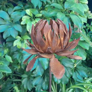 New South Wales Waratah garden stake crafted in rusted metal, 16 cm flower on 72 cm stake, Australian-made for garden decor, develops patina.